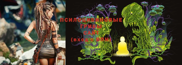 кокаин колумбия Белокуриха