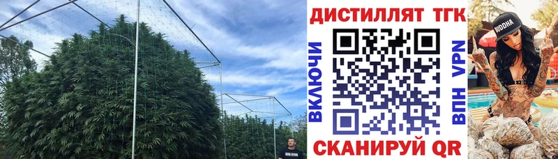 блэк спрут как зайти  купить   Бузулук  Дистиллят ТГК жижа 