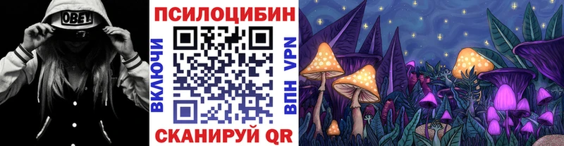 где продают   Бузулук  Галлюциногенные грибы мухоморы 